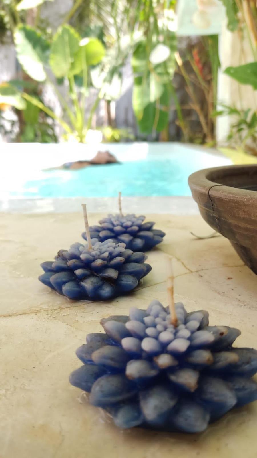 Chale Da Sereia Apart-Hotel Com Cozina Piscina Oasis No Centro De Jericoacoara Exteriör bild