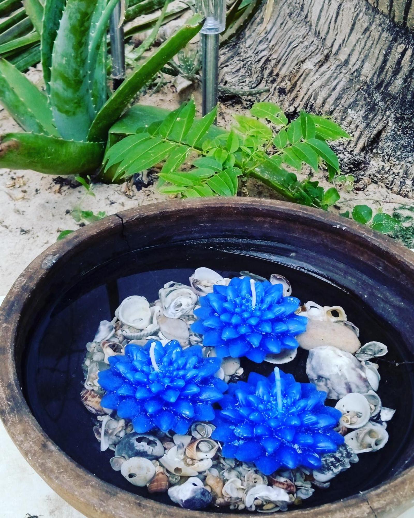 Chale Da Sereia Apart-Hotel Com Cozina Piscina Oasis No Centro De Jericoacoara Exteriör bild